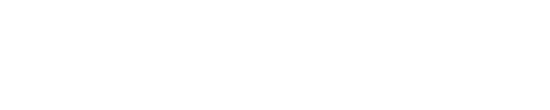 logo_AE_white